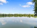 Scenic view of a serene lake surrounded by lush greenery under a blue sky at 4545 Fairway Oaks Dr, Mulberry, FL 33860