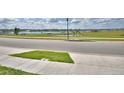 Scenic view of the lake from the neighborhood, featuring lush greenery and a peaceful atmosphere at 5280 Tennessee Ridge Ct, Auburndale, FL 33823