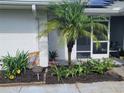Charming entrance adorned with a variety of plants, flowers, and palm tree, enhancing the home's curb appeal at 152 Audubon Ct, Winter Haven, FL 33884