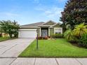 Landscaped front yard with green house and driveway at 808 James Way, Lake Alfred, FL 33850