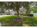Well-maintained front lawn with a large tree, manicured landscaping, and a view of the home's facade at 6769 Hampshire Blvd, Lakeland, FL 33813