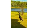 Sandhill crane in a tranquil backyard setting at 1915 Pristine Loop, Lakeland, FL 33811