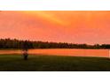 Scenic sunset view over a tranquil lake, surrounded by lush greenery at 1915 Pristine Loop, Lakeland, FL 33811