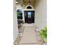 Inviting front entryway with a stone walkway and a beautifully stained, dark wood door at 4435 Fairway Oaks Dr, Mulberry, FL 33860