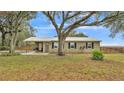 Newly renovated ranch home with metal roof and large oak trees at 9585 Shreck Rd, Bartow, FL 33830