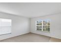 Spacious living room featuring neutral carpet, white walls, and a large window for ample natural light at 2454 Harrison Place Blvd, Lakeland, FL 33810