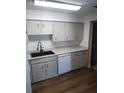 Updated kitchen with a sleek black sink, white dishwasher, and updated hardware on cabinets at 256 Village View Ln, Lakeland, FL 33809