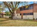 Backyard view with a large tree and a screened-in patio at 1880 N Crystal Lake Dr # 4, Lakeland, FL 33801