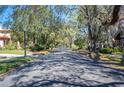 Beautiful tree lined neighborhood street on a sunny day at 949 Success Ave, Lakeland, FL 33801