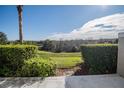 Scenic backyard view overlooking lush greenery and manicured hedges at 726 Chacall Loop, Mount Dora, FL 32757