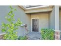 Close-up of front door and adjacent landscaping features decorative plants and mulched beds at 6347 Torrington Cir, Lakeland, FL 33811