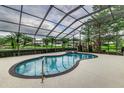 Relaxing screened-in pool and hot tub area with views of the serene lake and lush landscaping at 3906 Canyon Lake Pt, Lakeland, FL 33813