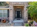 Close-up of the brick front entrance with decorative plants and black door at 2933 Blackwater Oaks Dr, Mulberry, FL 33860