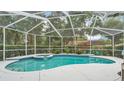 Beautiful screened-in pool and spa area surrounded by lush landscaping at 3822 Marquise Ln, Mulberry, FL 33860