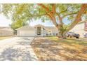 Beautiful single Gathering home with mature landscaping, long driveway, and plenty of curb appeal at 1061 Lowry Ave, Lakeland, FL 33801