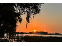 Scenic sunset over the water with Spanish moss hanging from tree at 2070 W Lake Hamilton Dr, Winter Haven, FL 33881