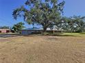 Spacious single-story home boasts an expansive front yard with a large shade tree, metal roof, and two-car garage at 2171 Sophia S Pl, Lakeland, FL 33811