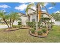 Landscaped front yard with palm trees, stone mulch, and green lawn around the home at 3592 Prescott Loop, Lakeland, FL 33810