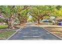 Scenic street view with mature trees lining the road and sidewalks at 1421 Camphor Dr, Lakeland, FL 33803