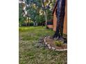 Expansive backyard with lush greenery, mature trees, and an inviting outdoor space at 5619 Antler Trl, Lakeland, FL 33811