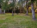 Spacious backyard featuring a cozy fire pit area with chairs, perfect for outdoor gatherings at 5619 Antler Trl, Lakeland, FL 33811