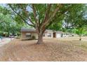 A single-story home has a large tree that offers shade and privacy at 236 Hillside Dr, Lakeland, FL 33803