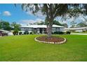 Well-maintained front yard with mature landscaping, lush green lawn, and inviting curb appeal with American flag at 8760 Plantation Ridge Blvd, Lakeland, FL 33809