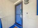 Entrance featuring a secure screen door, offering curb appeal and added security at 110 N Tremain St # 206, Mount Dora, FL 32757