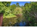 Lush greenery surrounds a tranquil pond, creating a serene and private natural setting at 2757 Pine Acres Dr, Lake Wales, FL 33898