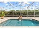 Relaxing screened-in pool area with a decorative fountain and lush greenery offering privacy at 3568 Jade Ln, Mulberry, FL 33860