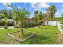 Landscaped yard with trees including palms, lawn, and a partial fence at 1927 E Main St, Lakeland, FL 33801
