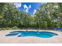 In-ground pool with built-in spa surrounded by lush landscaping, chairs, and wooded views at 13 Count Fleet Dr, Ocala, FL 34482