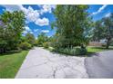 A view of the cracked concrete driveway and a vibrant green lawn, framed by lush trees and colorful bushes at 4908 S Bedford Ln, Lakeland, FL 33813