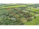 Beautiful aerial view of the expansive property with mature trees and serene surroundings at 15345 Angus Rd, Polk City, FL 33868