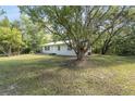 Charming single story home nestled amongst the trees at 4660 Holly Rd, New Smyrna Beach, FL 32168