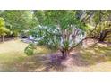 Single story home with large tree in the yard at 4660 Holly Rd, New Smyrna Beach, FL 32168