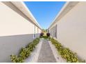 Pathway between houses leading to a grassy area at 3088 Isles Way, New Smyrna Beach, FL 32168