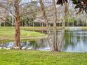 Serene pond view with lush trees and white ibis birds at 526 Mount Olympus Blvd, New Smyrna Beach, FL 32168