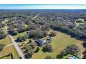 Aerial view showing house, pool, and large lot in a wooded area at 182 Kentucky Blue Cir, Apopka, FL 32712