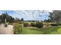 Panoramic view of the lush backyard featuring a well-manicured lawn and colorful landscaping at 958 Beach Fern Ct, New Smyrna Beach, FL 32168