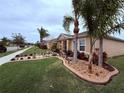 Well-manicured lawn and landscaping featuring palm trees and decorative rock beds at 3368 Tuscano Ne Ave, New Smyrna Beach, FL 32168