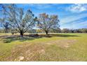 Expansive backyard featuring well-established trees, offering ample space for outdoor activities and relaxation at 2347 Cr 546A, Bushnell, FL 33513