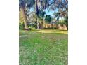 Expansive backyard featuring mature trees providing ample shade, perfect for outdoor activities and relaxation at 485 Merrimac Dr, Port Orange, FL 32127