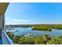 Breathtaking water view from balcony with palms, mangroves and boat docks at 5 Riverwalk Dr # 506, New Smyrna Beach, FL 32169