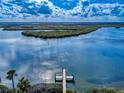Aerial shot showcasing a private wooden dock, and beautiful landscape at 6584 Engram Rd # 405, New Smyrna Beach, FL 32169