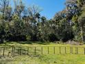 Expansive backyard with lush greenery and a sturdy fence, perfect for outdoor activities and relaxation at 1136 Elizabeth St, New Smyrna Beach, FL 32168
