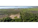 Aerial view of property including marshy landscape and water, with a home nestled among the trees at 3890 Skyway Dr, Sanford, FL 32773