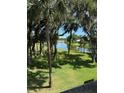 Scenic lake view from the property with lush greenery and trees around the lake at 1903 Turnbull Lakes Dr # 1903, New Smyrna Beach, FL 32168