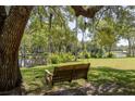Relaxing tree swing overlooking a tranquil pond, creating a serene and picturesque setting at 4580 Lake James Cir, Edgewater, FL 32141