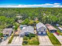 Wide aerial view of home showcasing proximity to a screened pool, neighborhood and mature trees at 830 Christy Dr, Port Orange, FL 32129